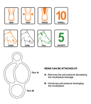 Williams Sara Grills Bomber Bit