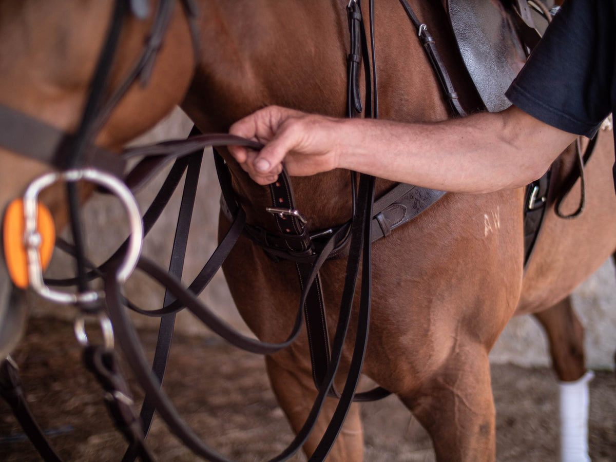 Eggbutt Gag Bomber Blue Swivel Bit