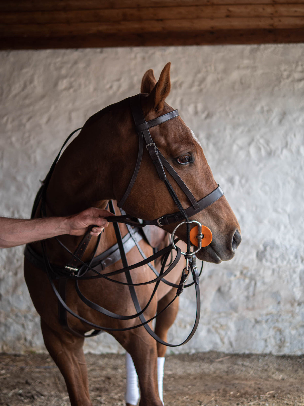 Bombers Polo Martingale