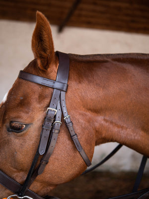 Bombers Polo Bridle - Quality Leather Full Bridle: Double Reins & Martingale