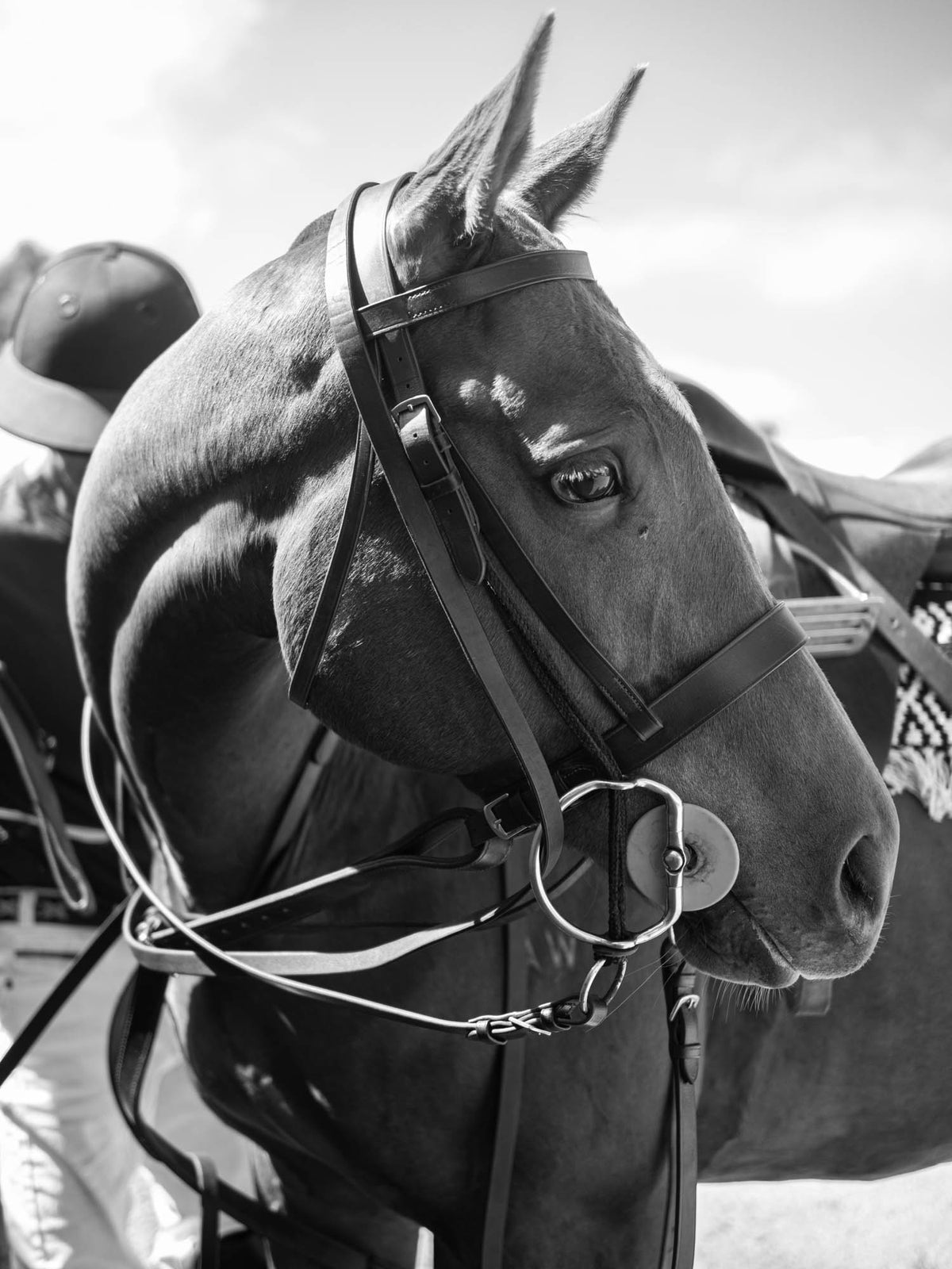 Eggbutt Gag Bomber Blue Swivel Bit