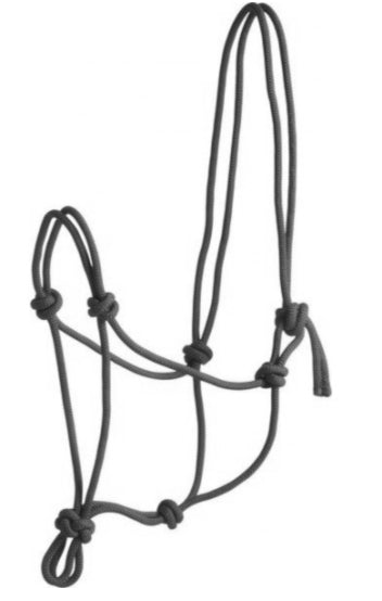 An Aussie-made rope halter on a polo pony. 