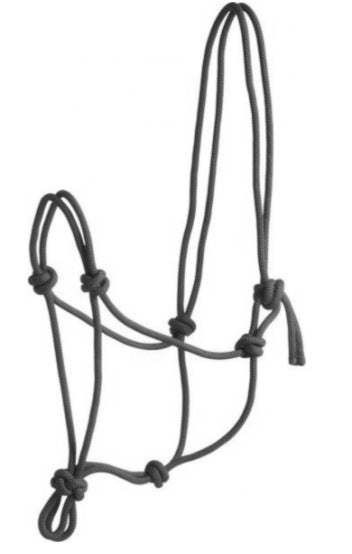An Aussie-made rope halter on a polo pony. 