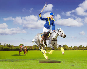 Traditional Polo Horse Rider and gear