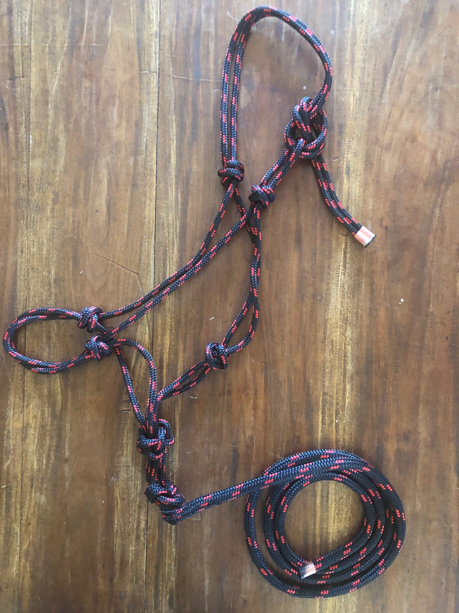 Bombers PoloX Halter & Leadrope